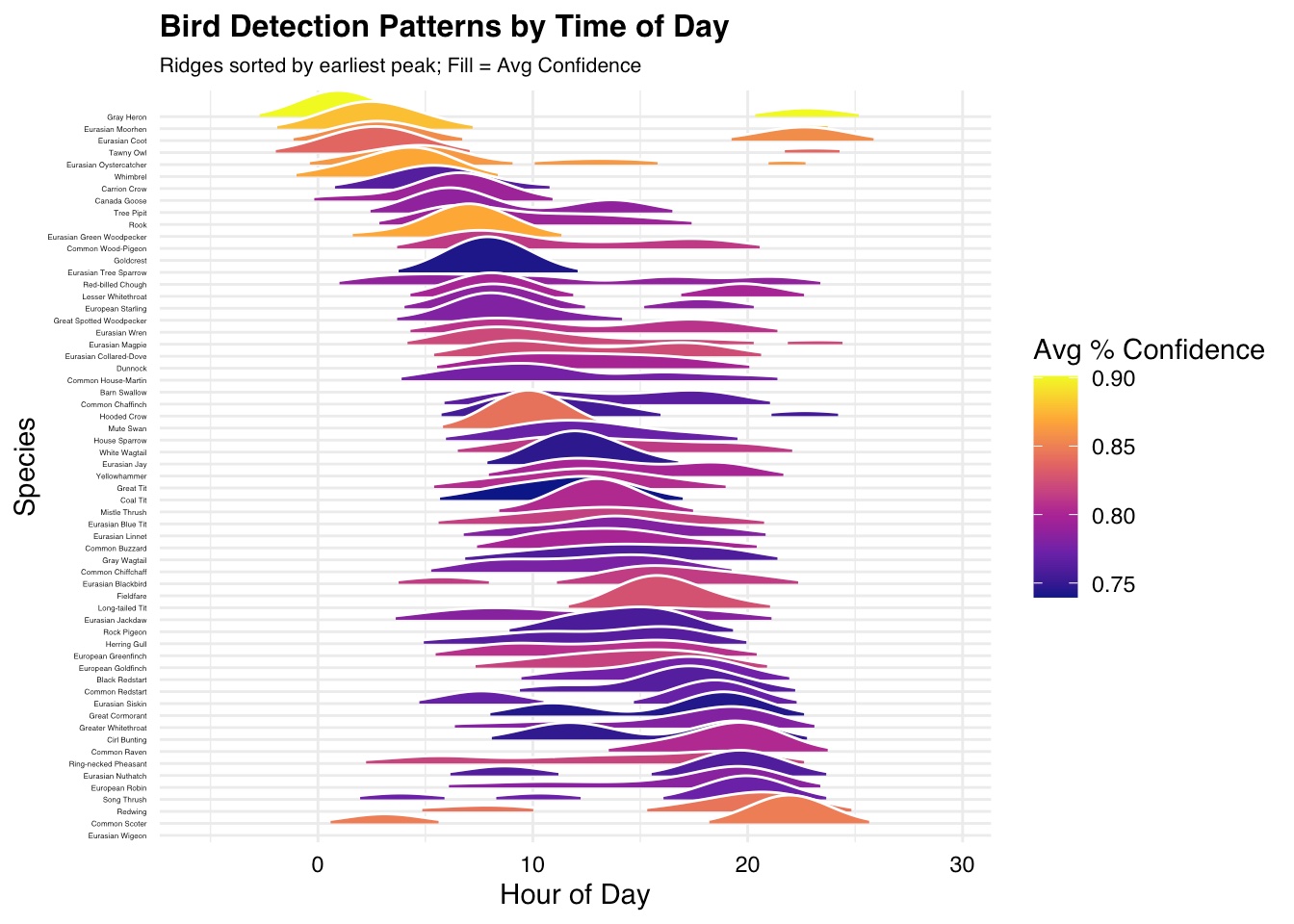 Ridgeline plot of bird detection patterns by time of day, coloured by average confidence score